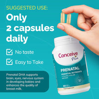 Prenatal - Conceive Plus® Europe