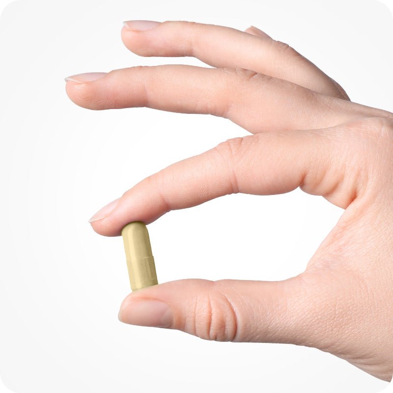 Conceive Plus Morning Sickness Relief capsule held between thumb and forefinger of a woman's hand. Single beige capsule is shown clearly against a clean white background.